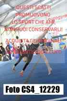 CS4_12229-