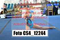 CS4_12244-
