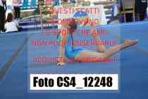 CS4_12248-