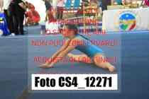CS4_12271-