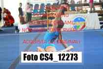 CS4_12273-