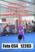 CS4_12283-