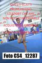 CS4_12287-