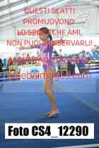 CS4_12290-