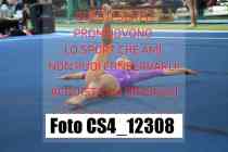 CS4_12308-