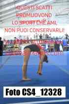 CS4_12328-