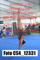 CS4_12331-