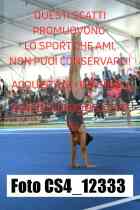 CS4_12333-