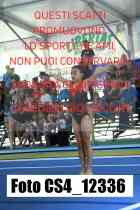 CS4_12336-
