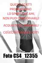 CS4_12355-