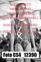 CS4_12390-