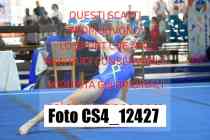 CS4_12427-