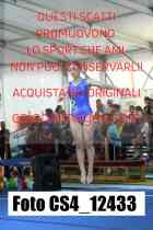 CS4_12433-
