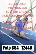CS4_12446-