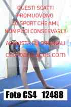 CS4_12488-