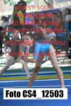 CS4_12503-