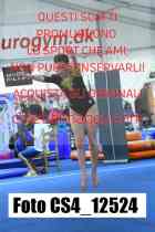 CS4_12524-