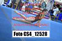 CS4_12528-