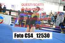 CS4_12530-
