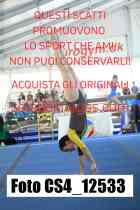 CS4_12533-