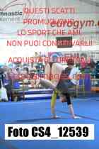 CS4_12539-