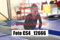 CS4_12666-