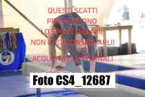 CS4_12687-