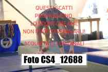 CS4_12688-