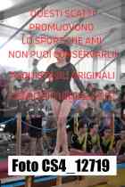 CS4_12719-