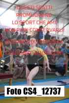 CS4_12737-
