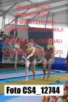 CS4_12744-