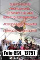 CS4_12751-