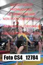 CS4_12784-