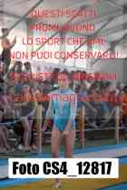 CS4_12817-