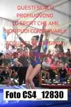 CS4_12830-