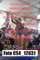 CS4_12831-