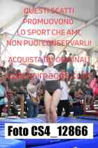 CS4_12866-