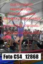 CS4_12868-