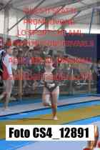 CS4_12891-