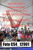 CS4_12901-