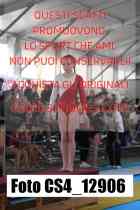 CS4_12906-