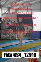 CS4_12919-