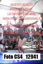 CS4_12941-