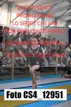 CS4_12951-
