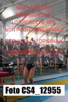 CS4_12955-
