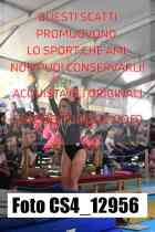 CS4_12956-