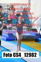 CS4_12982-