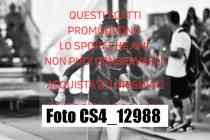 CS4_12988-