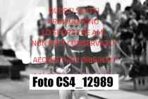 CS4_12989-