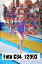 CS4_12992-